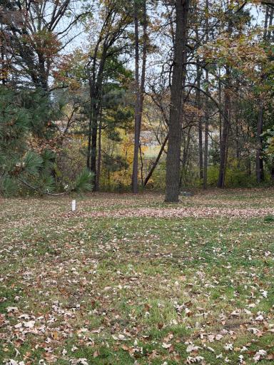 23929 Pine Avenue, Osage, MN 56570