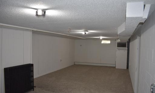 310 Cedar Avenue, Hector, MN 55342