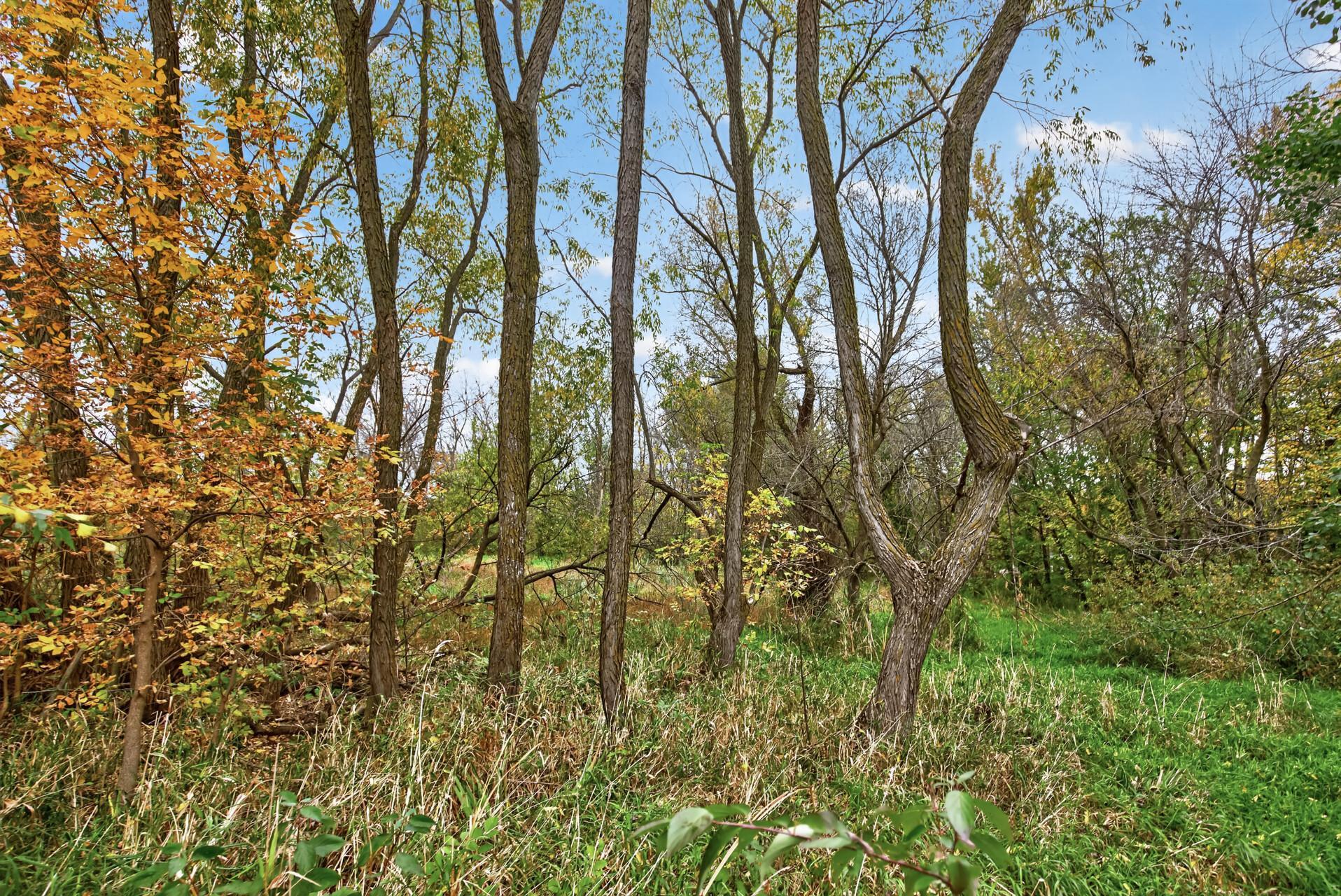 44_1115_Mulberry44_mls.jpg