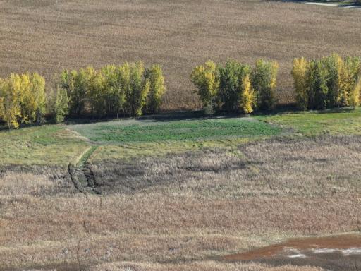 TBD Co Rd 3, Cogswell, ND 58017
