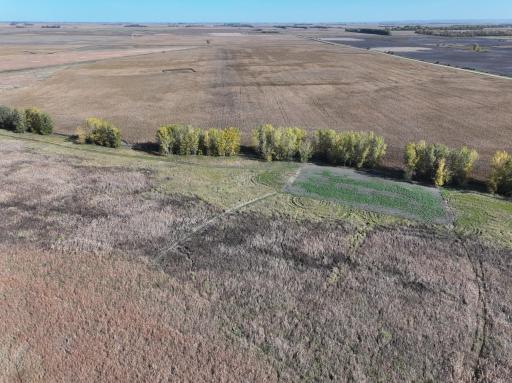 TBD Co Rd 3, Cogswell, ND 58017