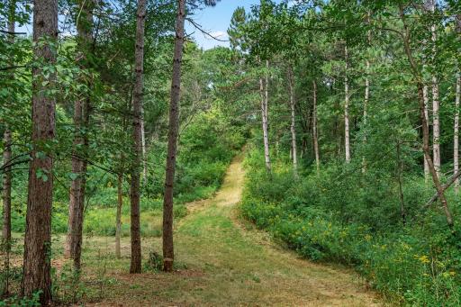 With over 12 acres, this estate has tons of trails and woods to enjoy!
