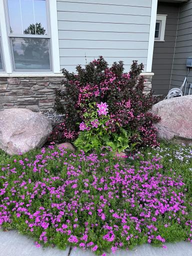 Thoughtful landscape choices around the home.