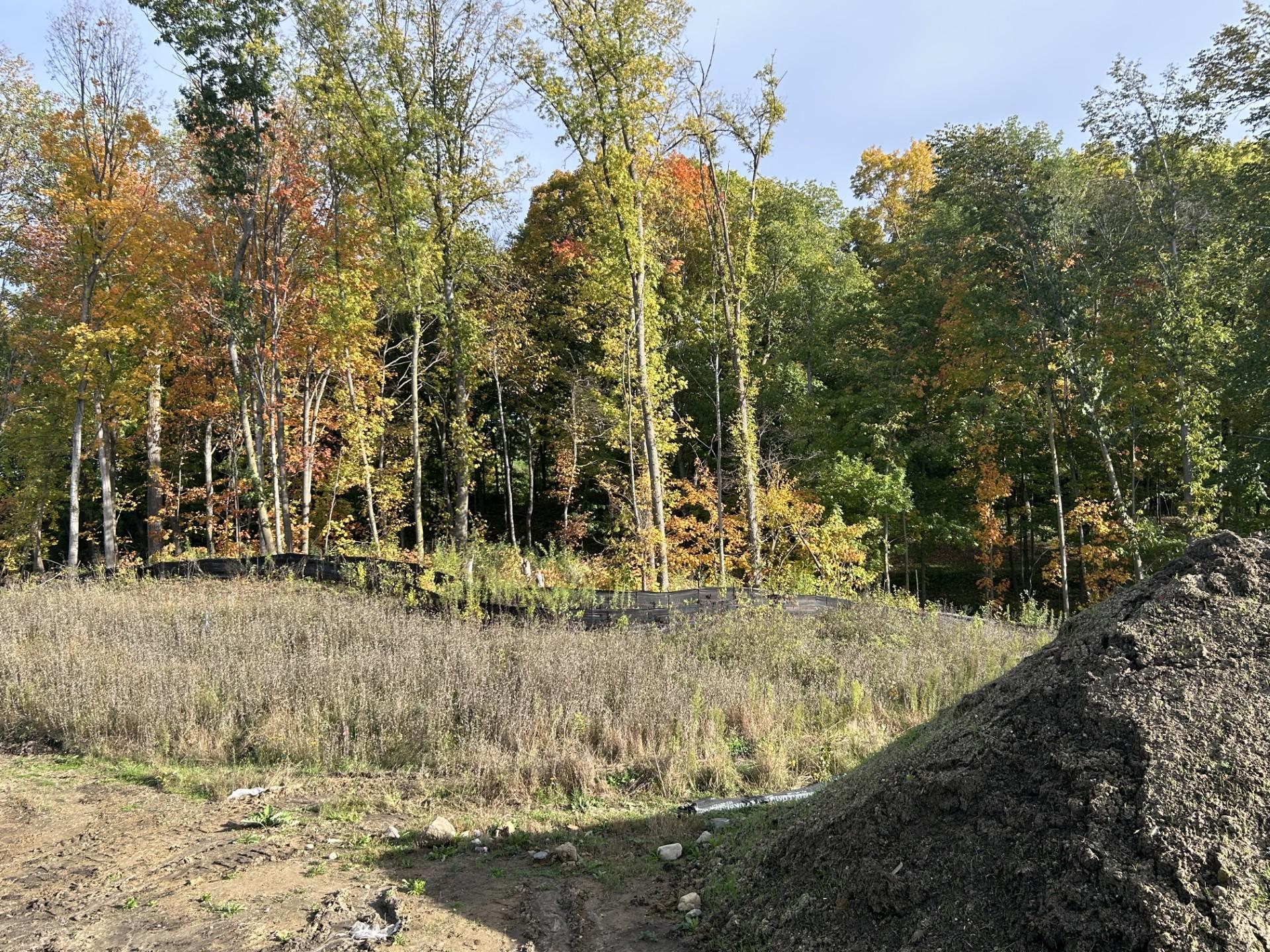 (Photo is of the actual backyard in progress.)