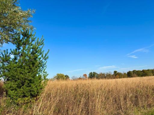 30974 Indigo Road, Fountain, MN 55935