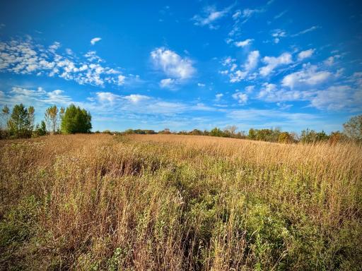 30974 Indigo Road, Fountain, MN 55935