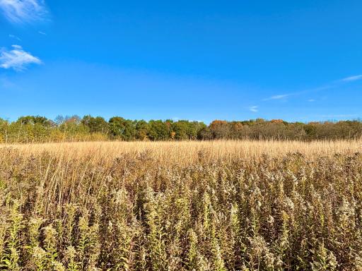 30974 Indigo Road, Fountain, MN 55935