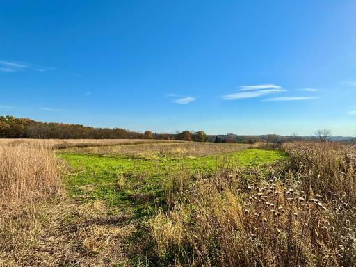 30974 Indigo Road, Fountain, MN 55935