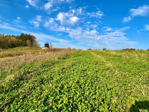 30974 Indigo Road, Fountain, MN 55935