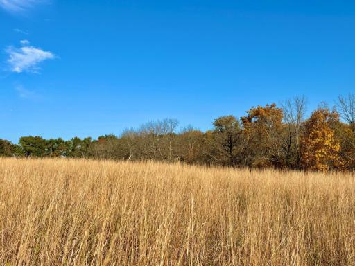 30974 Indigo Road, Fountain, MN 55935