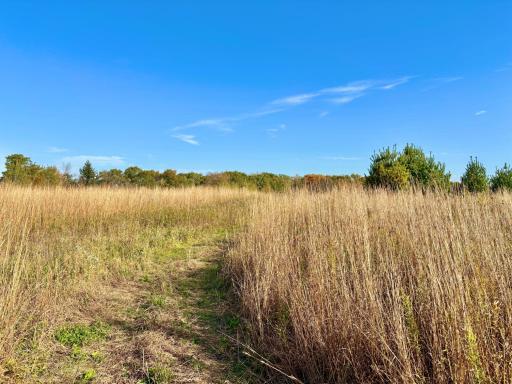 30974 Indigo Road, Fountain, MN 55935