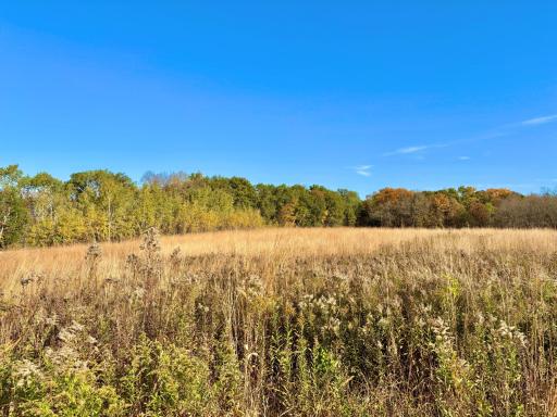 30974 Indigo Road, Fountain, MN 55935