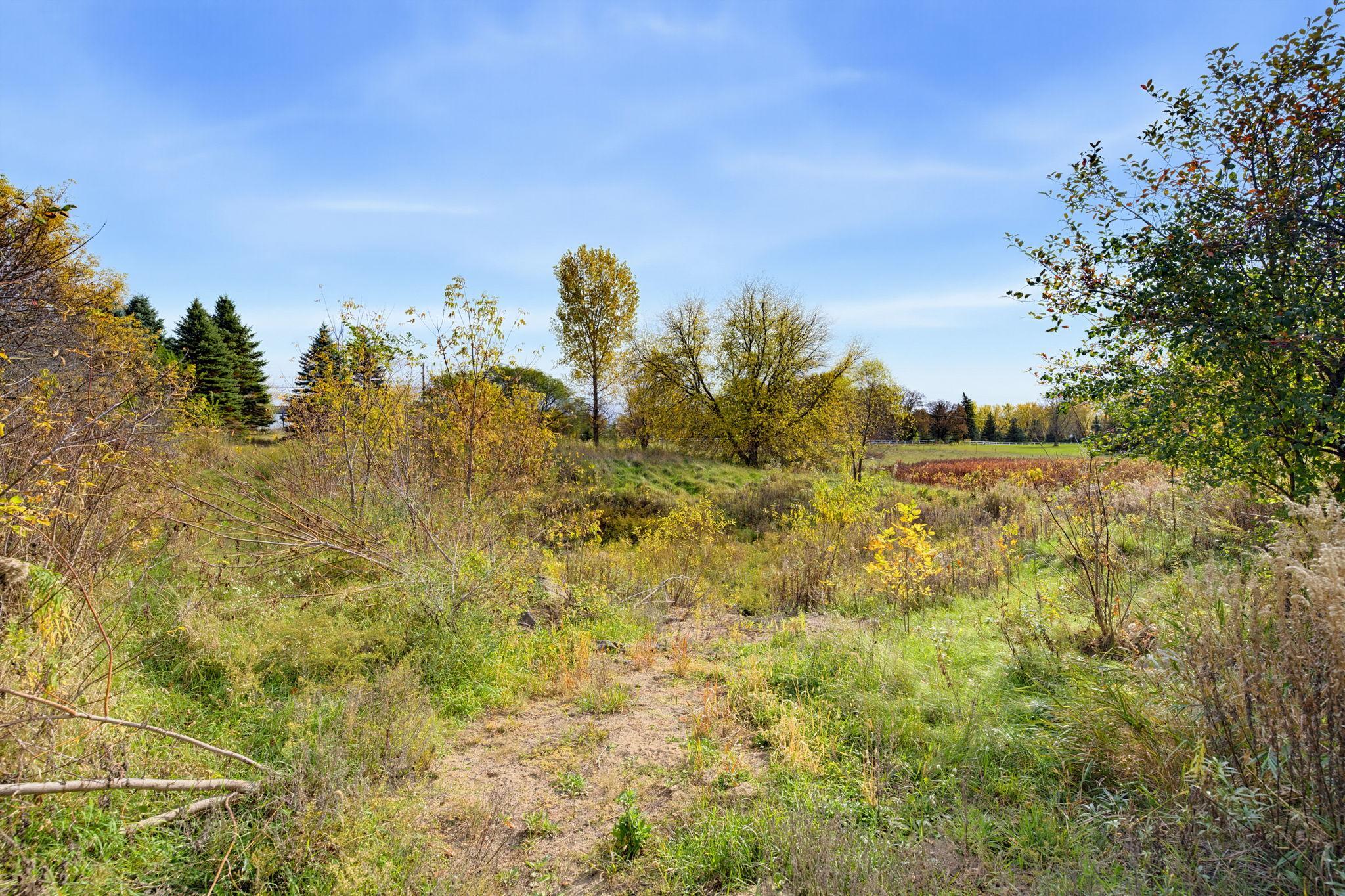 You'll Have so Much Fun Exploring Your Backyard!