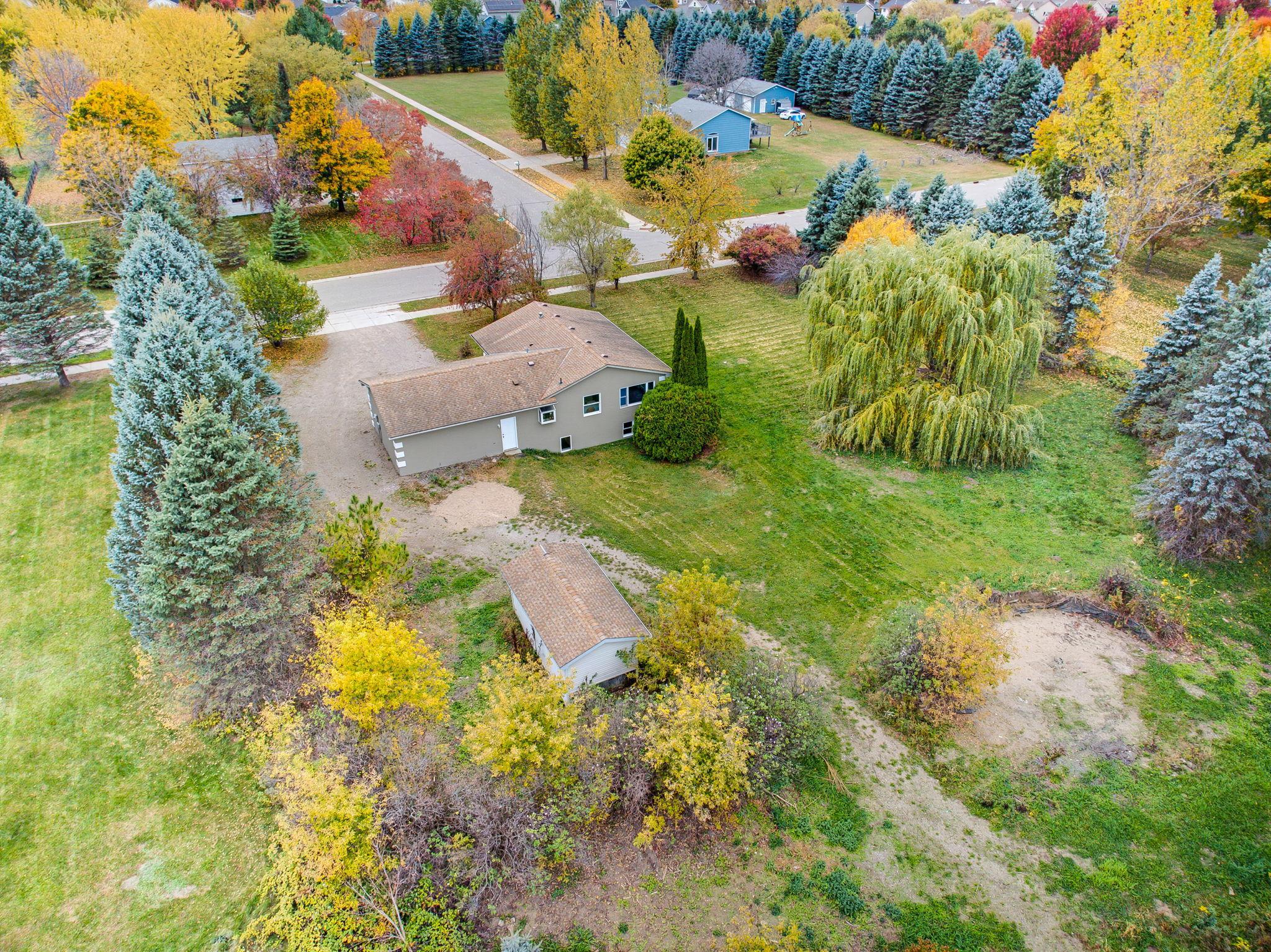 Mature Trees for Privacy & Endless Possibilities
