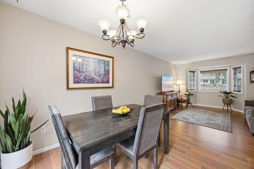 10-web-or-mls-11810_191_12_Ave_NW_Elk_River_MN_55330_9346.jpg