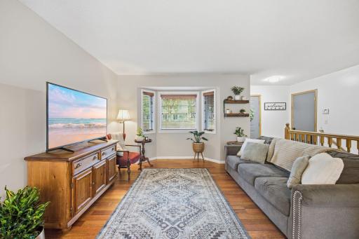 3-web-or-mls-11810_191_12_Ave_NW_Elk_River_MN_55330_9336.jpg