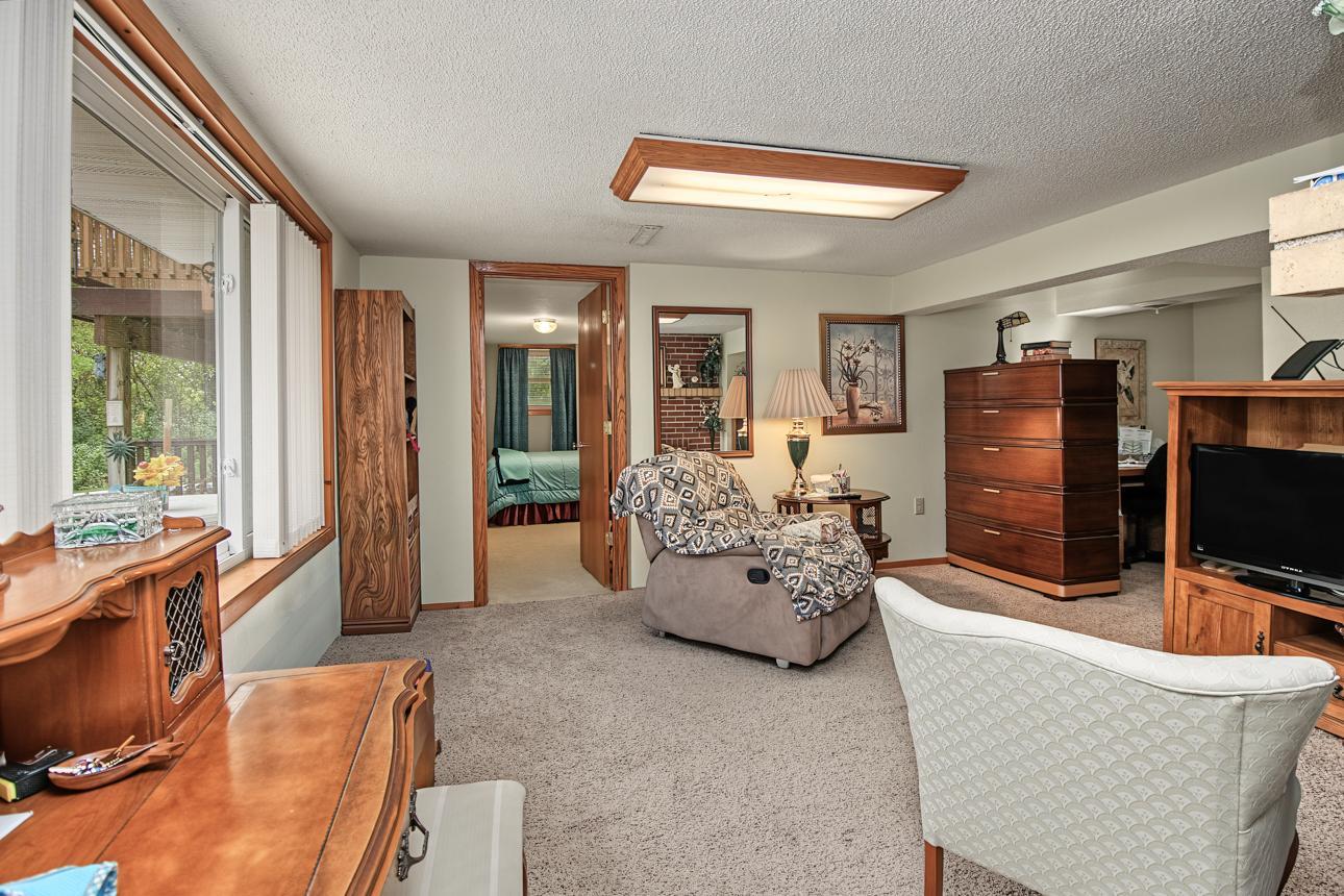 Lower level family room