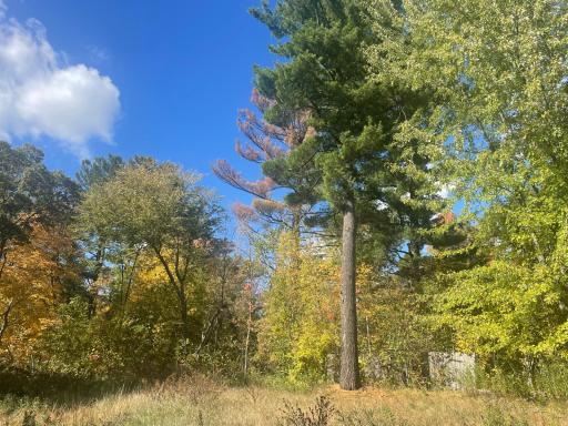1383 Highway 107, Grasston, MN 55030