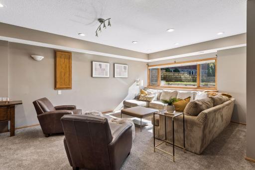 Lower level recreation room - sound proof with a separate entrance