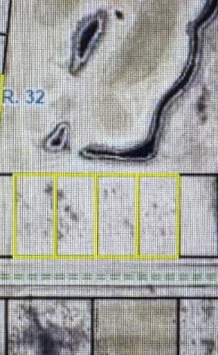Lots 24-27- $13,000 each- 200x100