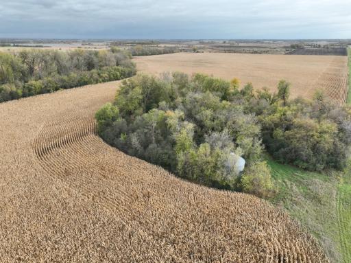 685 10th Avenue NW, Benson, MN 56215