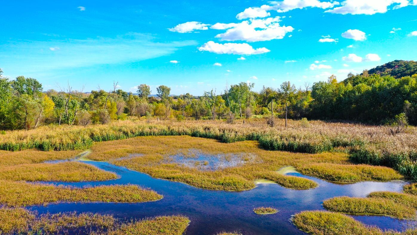 DJI_0409.jpg