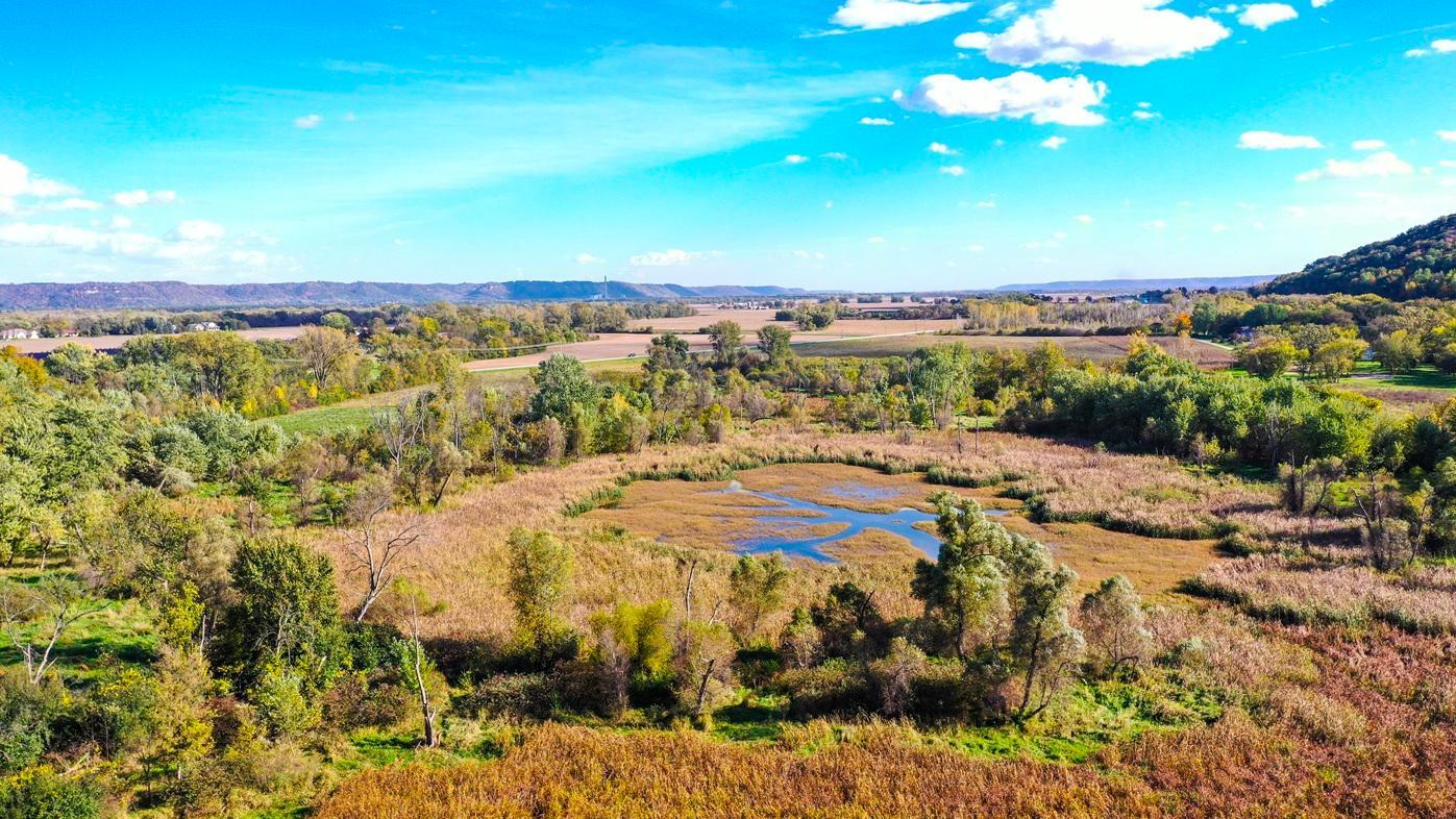 DJI_0404.jpg