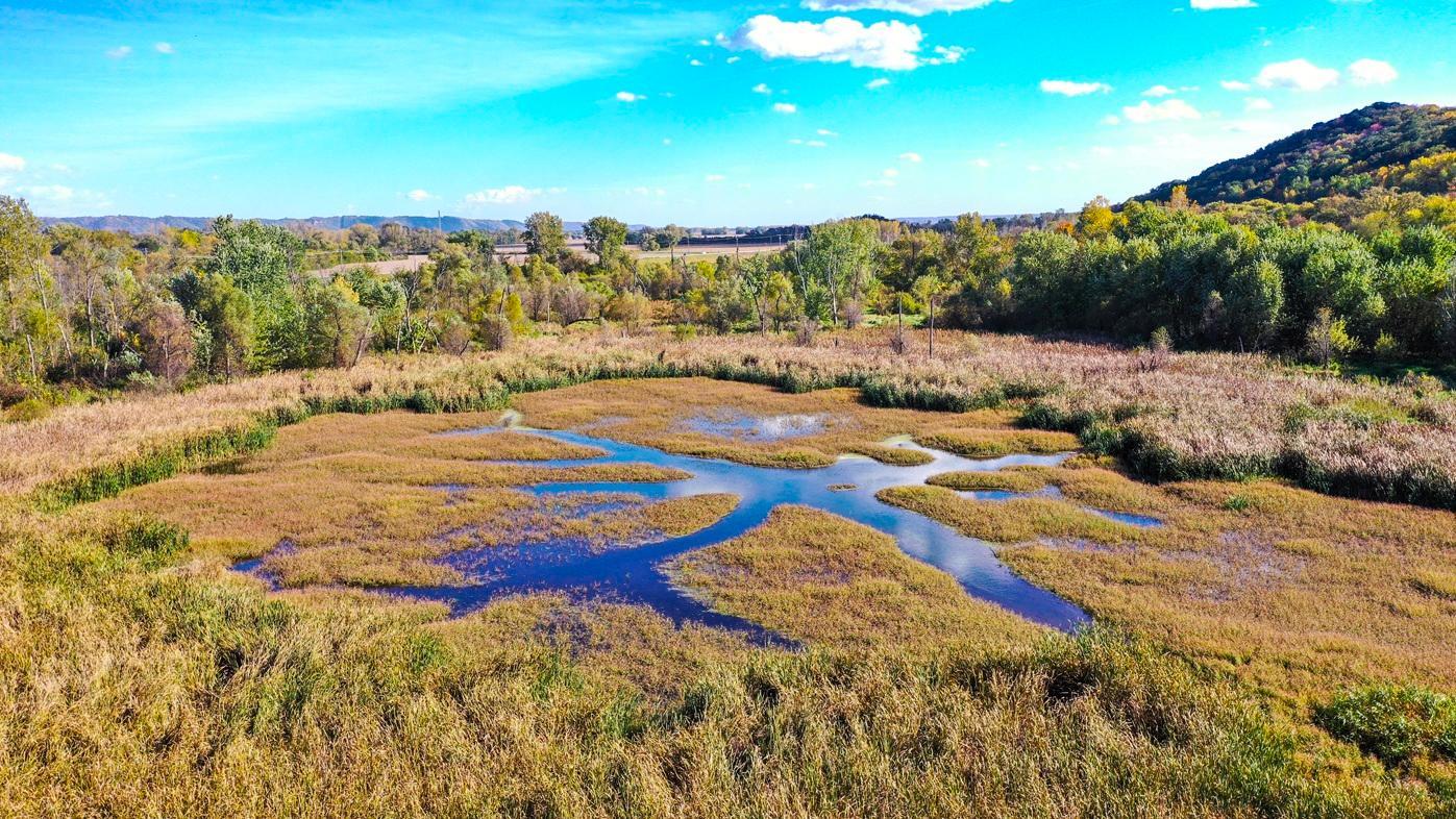 DJI_0406.jpg