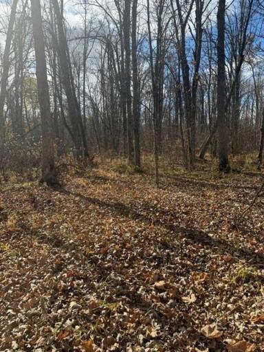 68781 Duxbury Road, Sandstone, MN 55072