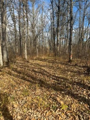 68781 Duxbury Road, Sandstone, MN 55072