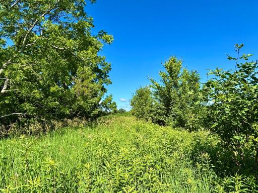 Highway 30 Highway 30, Rushford, MN 55951
