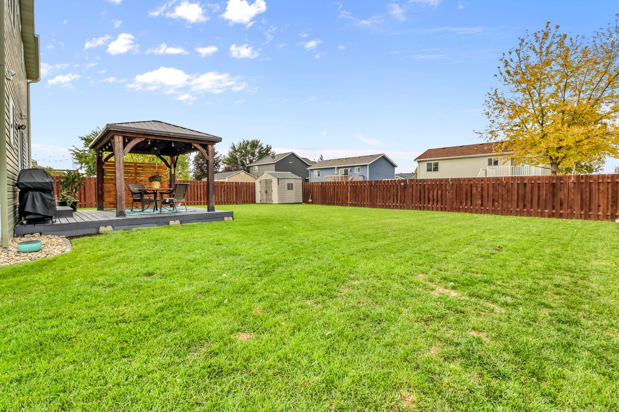 Backyard1_4-3264.JPG