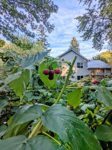 3117 Douglas Drive N, Crystal, MN 55422
