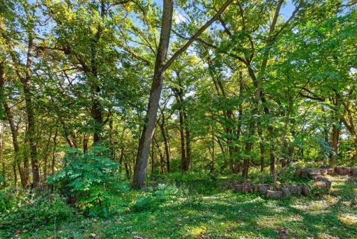 1424 Windsor Chase Drive SW, Rochester, MN 55902