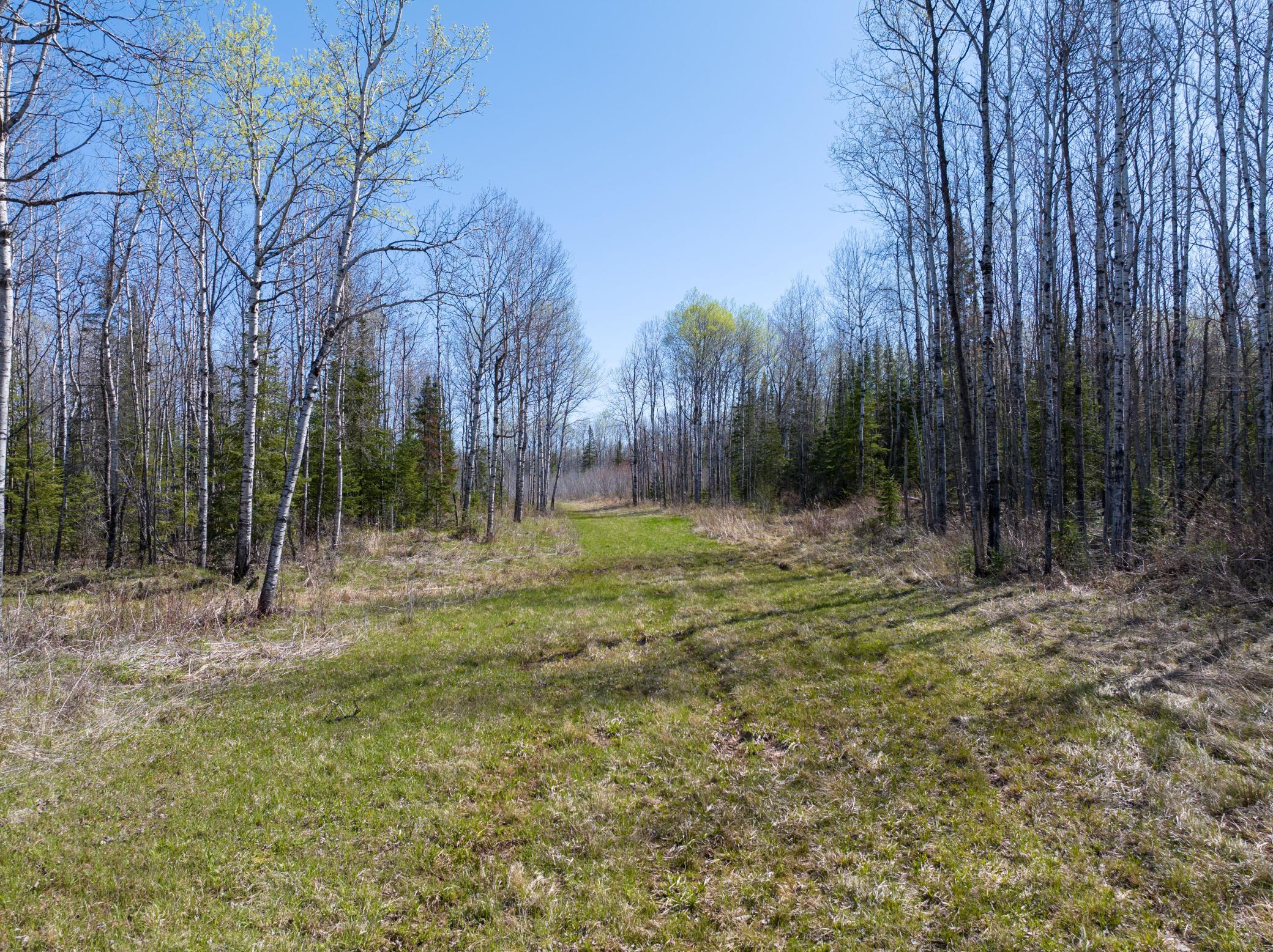 Property photo for TBD Swedlund Road, Herbster, WI 54844