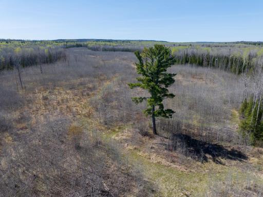 TBD Swedlund Road, Herbster, WI 54844