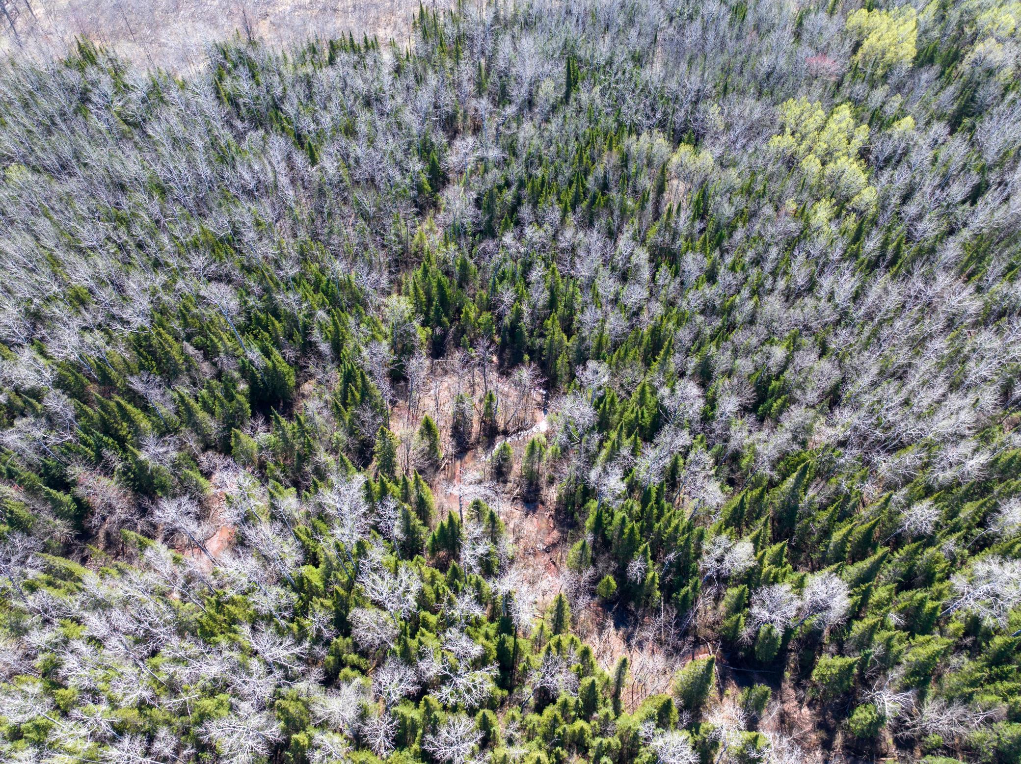 aerial-35.jpg