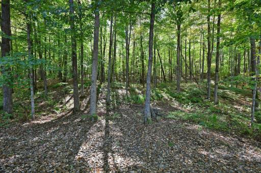 W3917 County Highway D, Sarona, WI 54870