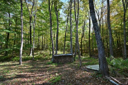 W3917 County Highway D, Sarona, WI 54870