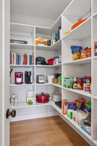 Walk-in pantry in the kitchen with organizational components
