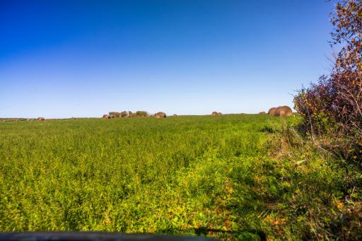 TBD 36 Ave NE, Saint John, ND 58369