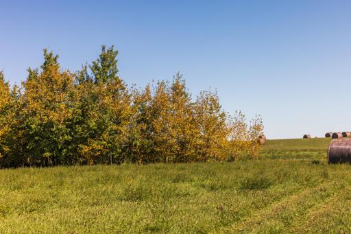TBD 36 Ave NE, Saint John, ND 58369