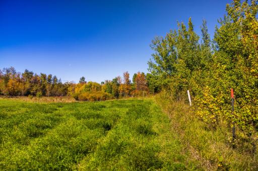 TBD 36 Ave NE, Saint John, ND 58369