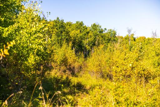 TBD 36 Ave NE, Saint John, ND 58369