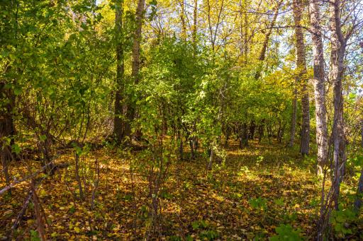 TBD 36 Ave NE, Saint John, ND 58369