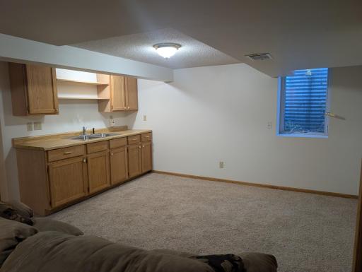Lower Family Room, also an Egress Window for MIL Suite