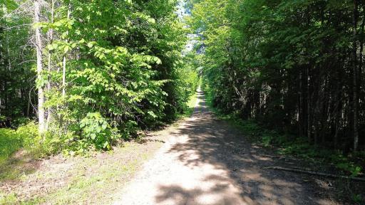 Reeves Road is exceptionally quiet, offering the privacy you've been searching for while still being just minutes from town.