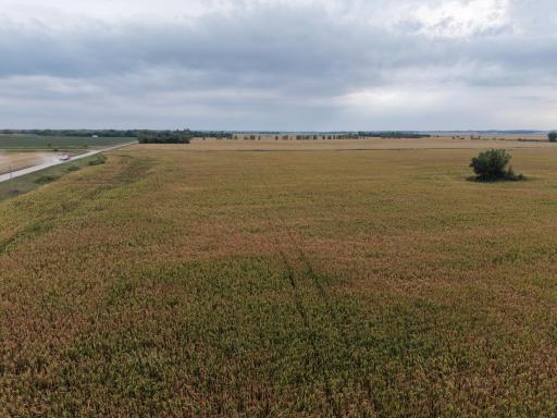 dji_fly_20260911_164152_0092_1789163223609_photo.jpeg