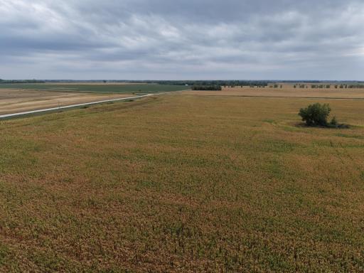 dji_fly_20260911_164446_0098_1789163237069_photo.jpeg