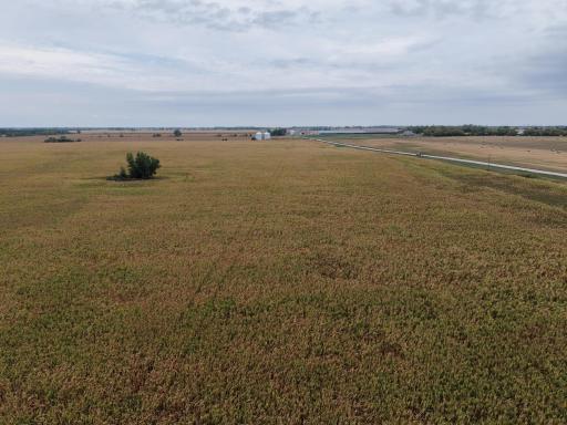 dji_fly_20260911_164648_0100_1789163250953_photo.jpeg